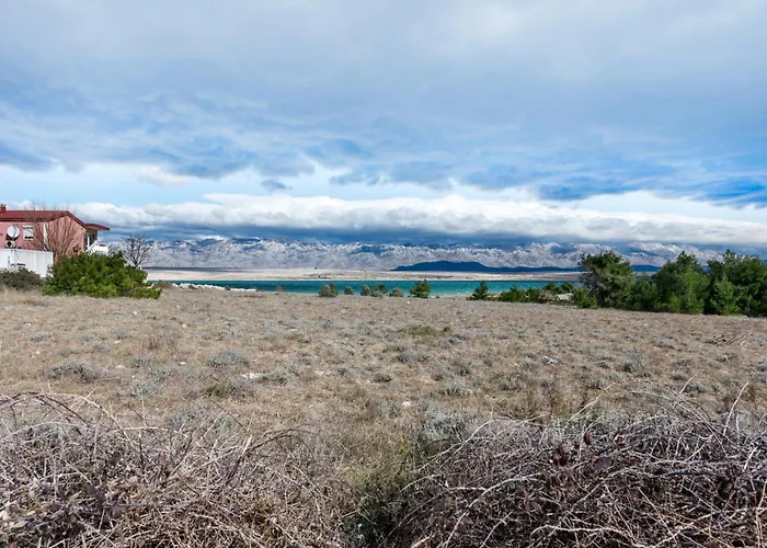 Apartament Simplistic In With Garden *